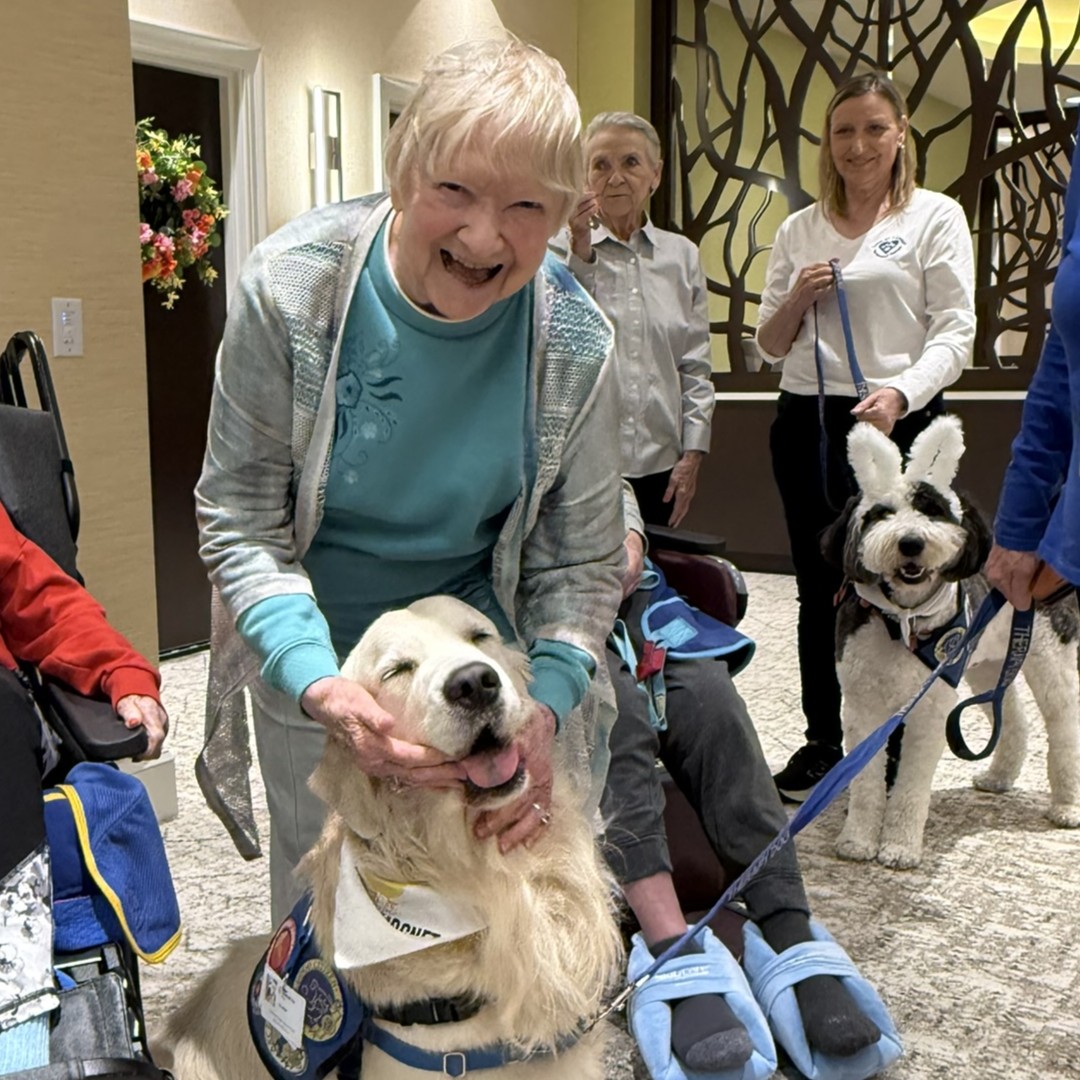 Love on a Leash at OAW